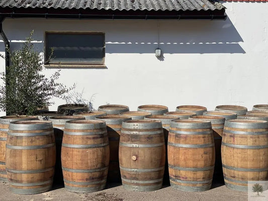 Vintunnor-för-plantering-i-lager Olivträdsbutiken