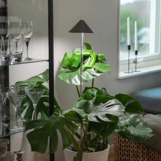 Växtarmatur SUNLiTE XL Olivträdsbutiken