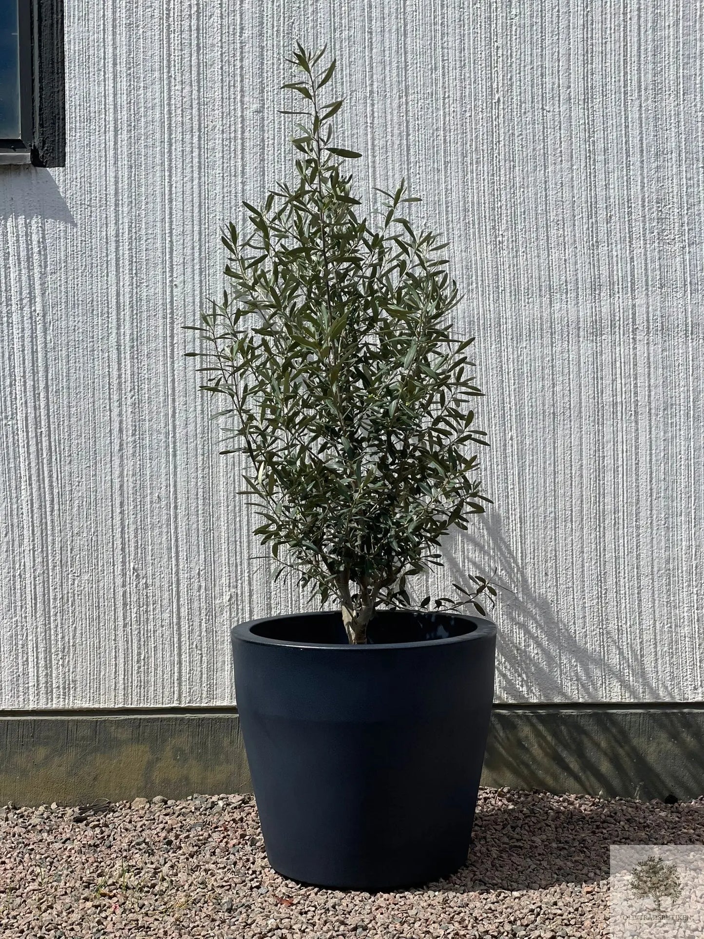 Kruka Acquario Round, ⌀ 48 cm Olivträdsbutiken