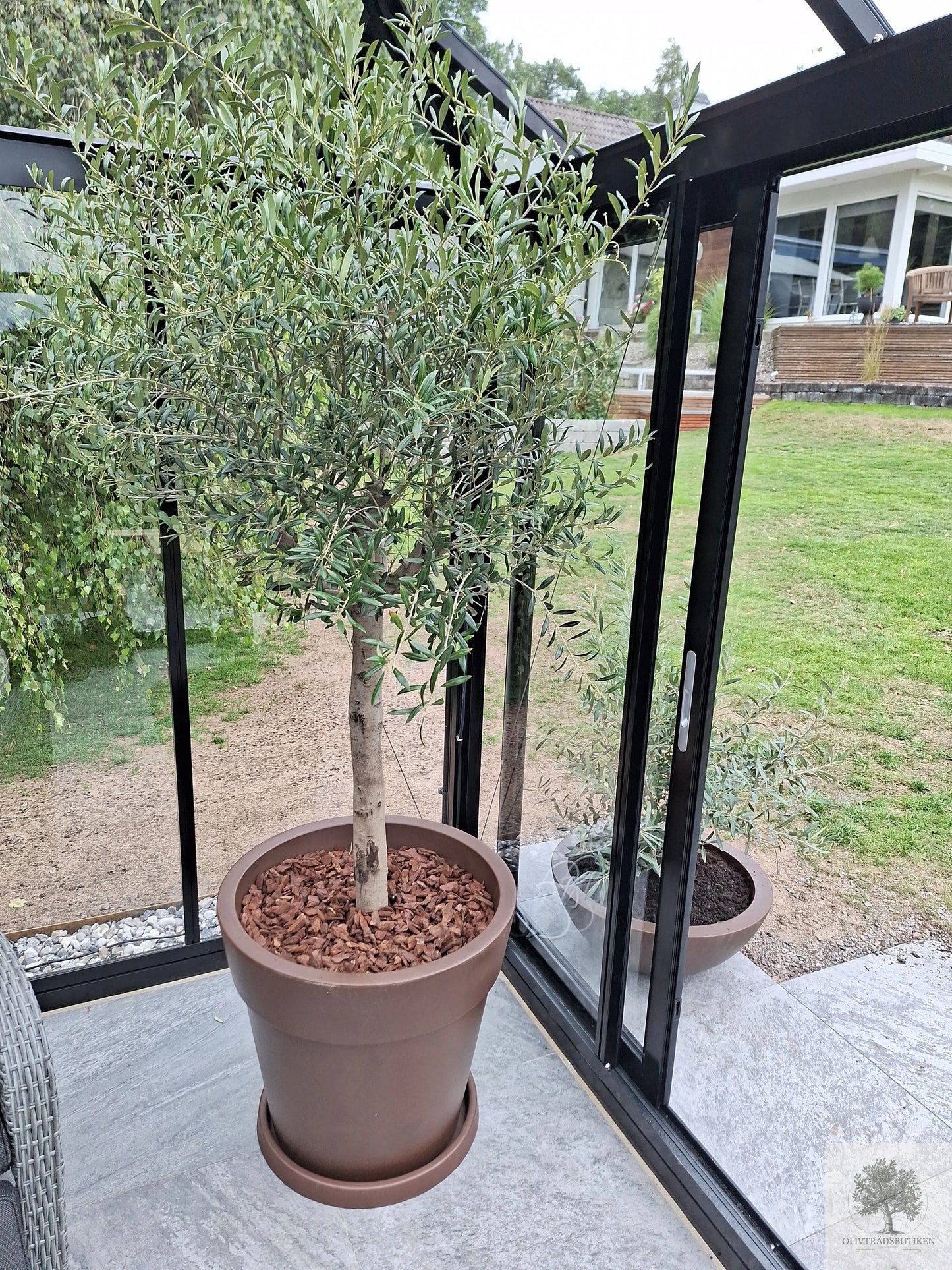 Krukke Lira - ⌀ 55 cm Olivträdsbutiken