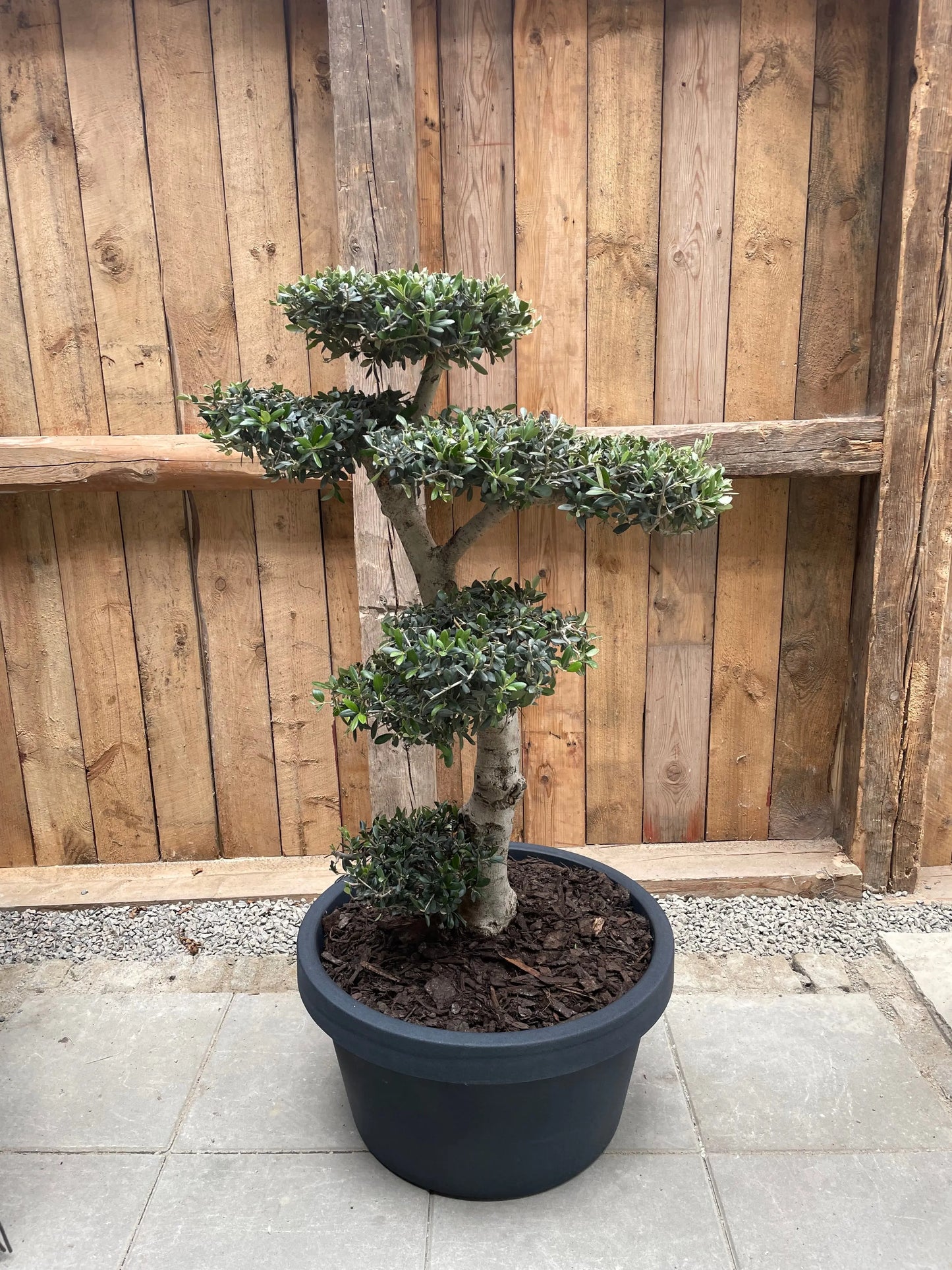 Kruka Norma - ⌀ 60 cm Olivträdsbutiken