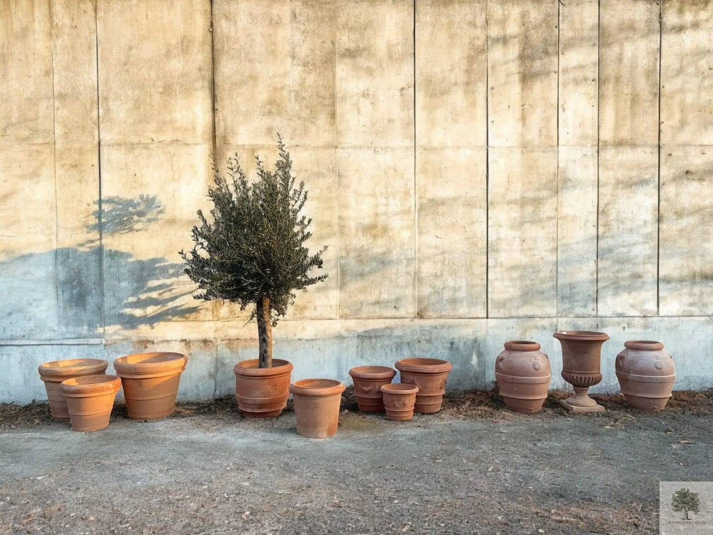 Urna terrakotta- 70 cm höjd - 60 cm diameter Olivträdsbutiken