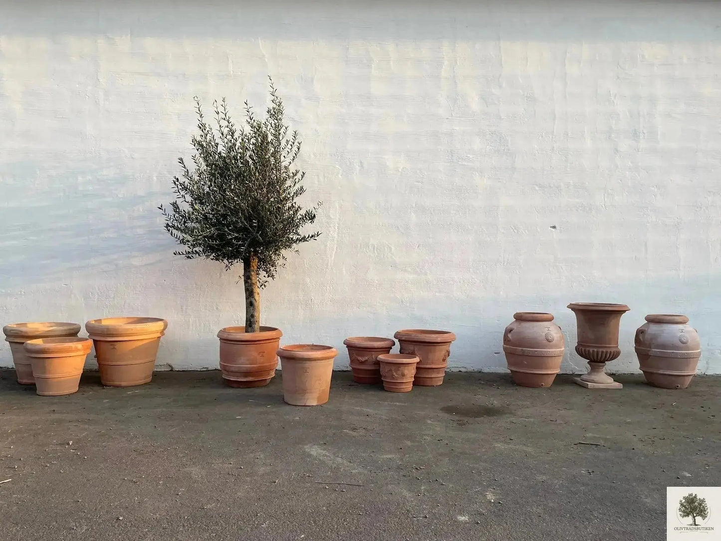 Kruka Terrakotta Grå - Toscana - 60 cm diameter - 50 cm höjd Olivträdsbutiken