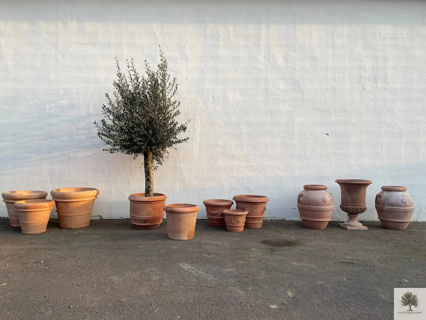 Kruka Terracotta - Impruneta Garland - 50 cm diameter - 42 cm höjd Olivträdsbutiken