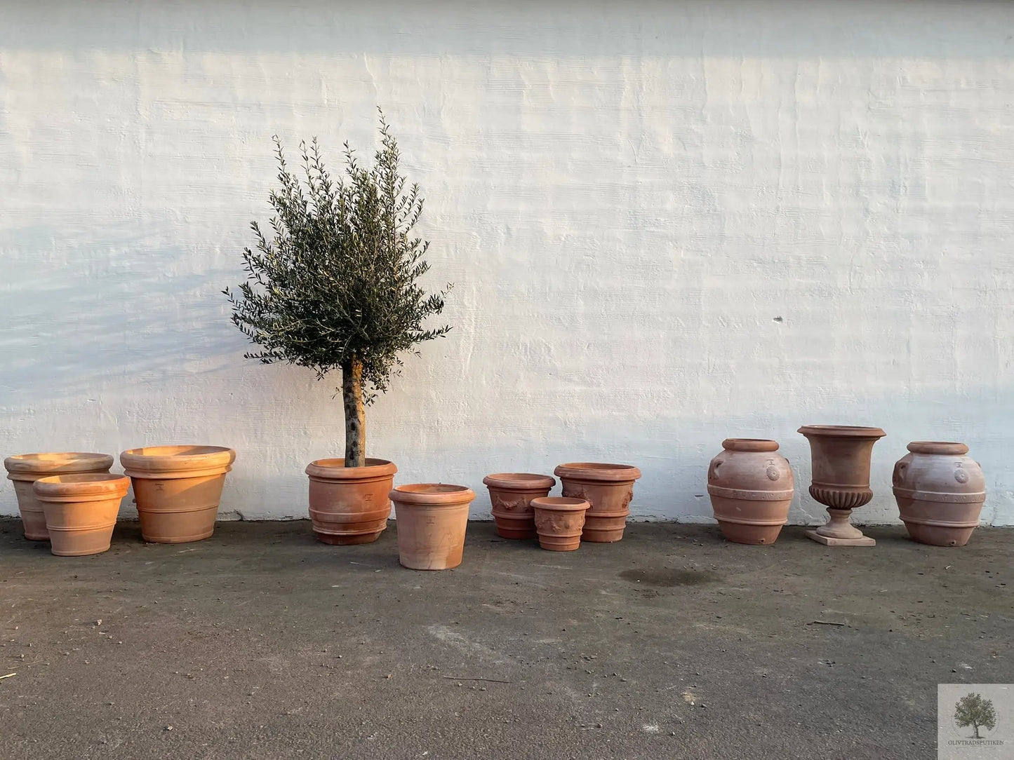 Terracottakruka - Toscana - 100 cm diameter - 82 cm höjd Olivträdsbutiken