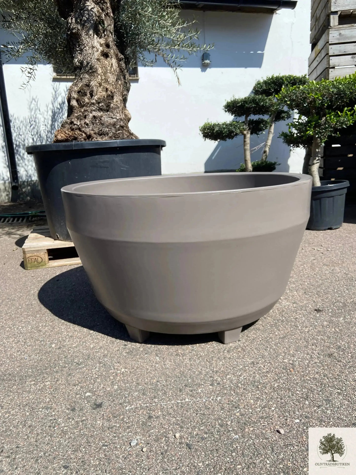 Stor Kruka Jumbo 90 - ⌀ 90 cm Olivträdsbutiken