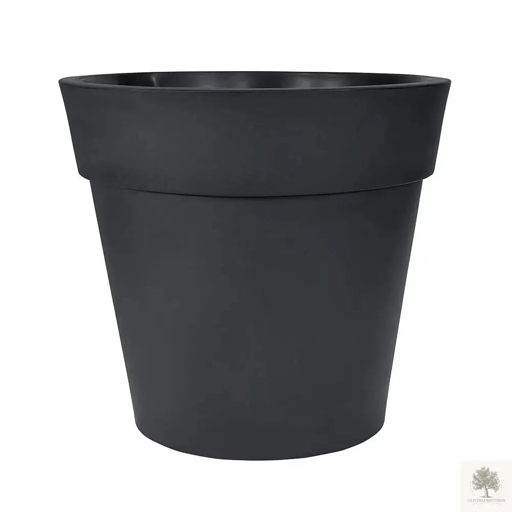 Stor Kruka Lira Elite - diameter 50 cm Olivträdsbutiken