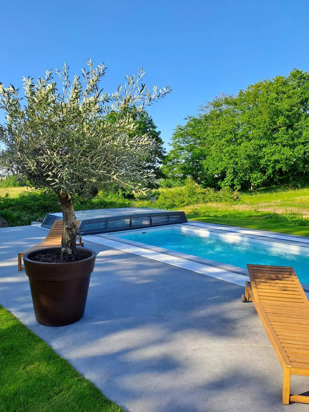 Stor Kruka Lira Elite - ⌀ 70 cm Olivträdsbutiken