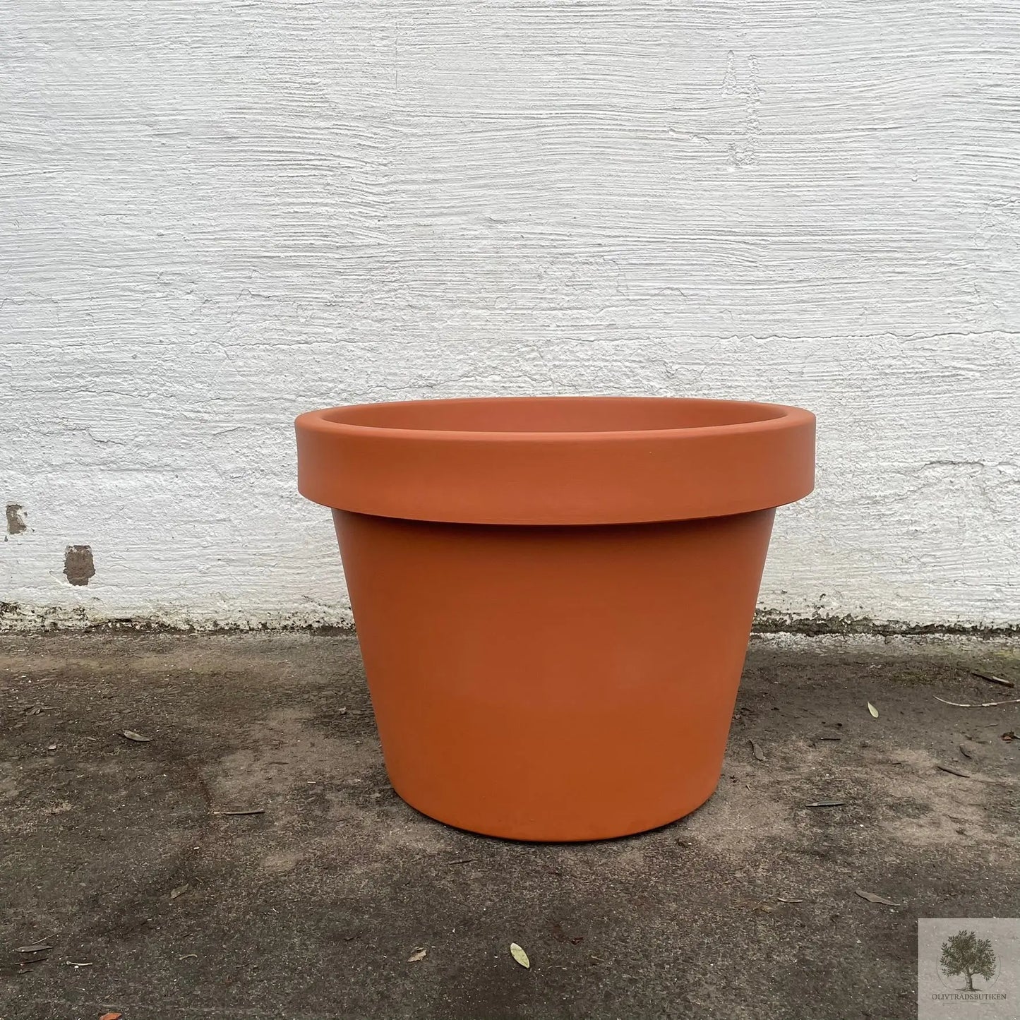 Stor Kruka Lira - diameter 75 cm Olivträdsbutiken