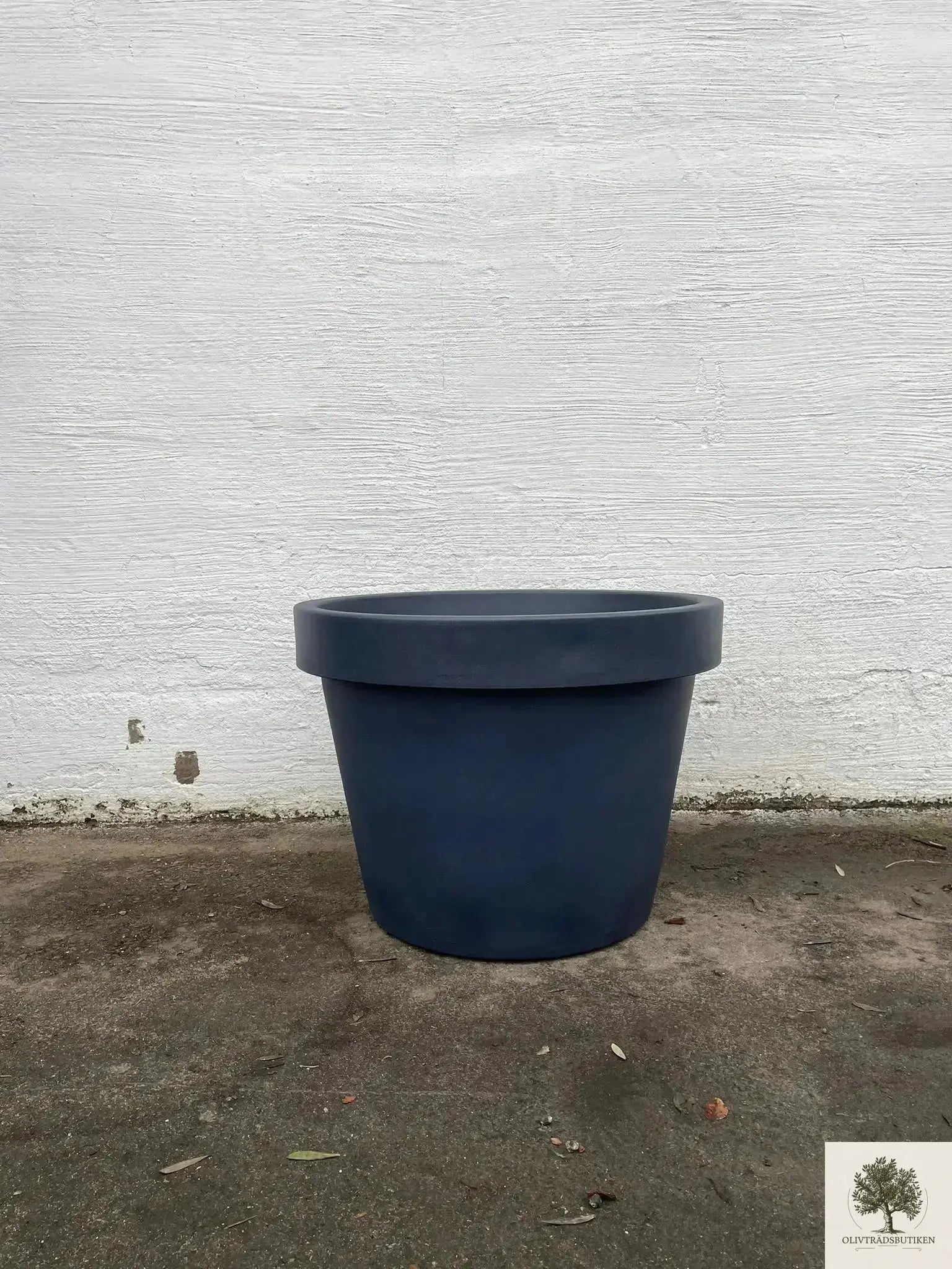 Olivträd 60 år planterat i kruka/vintunna Olivträdsbutiken