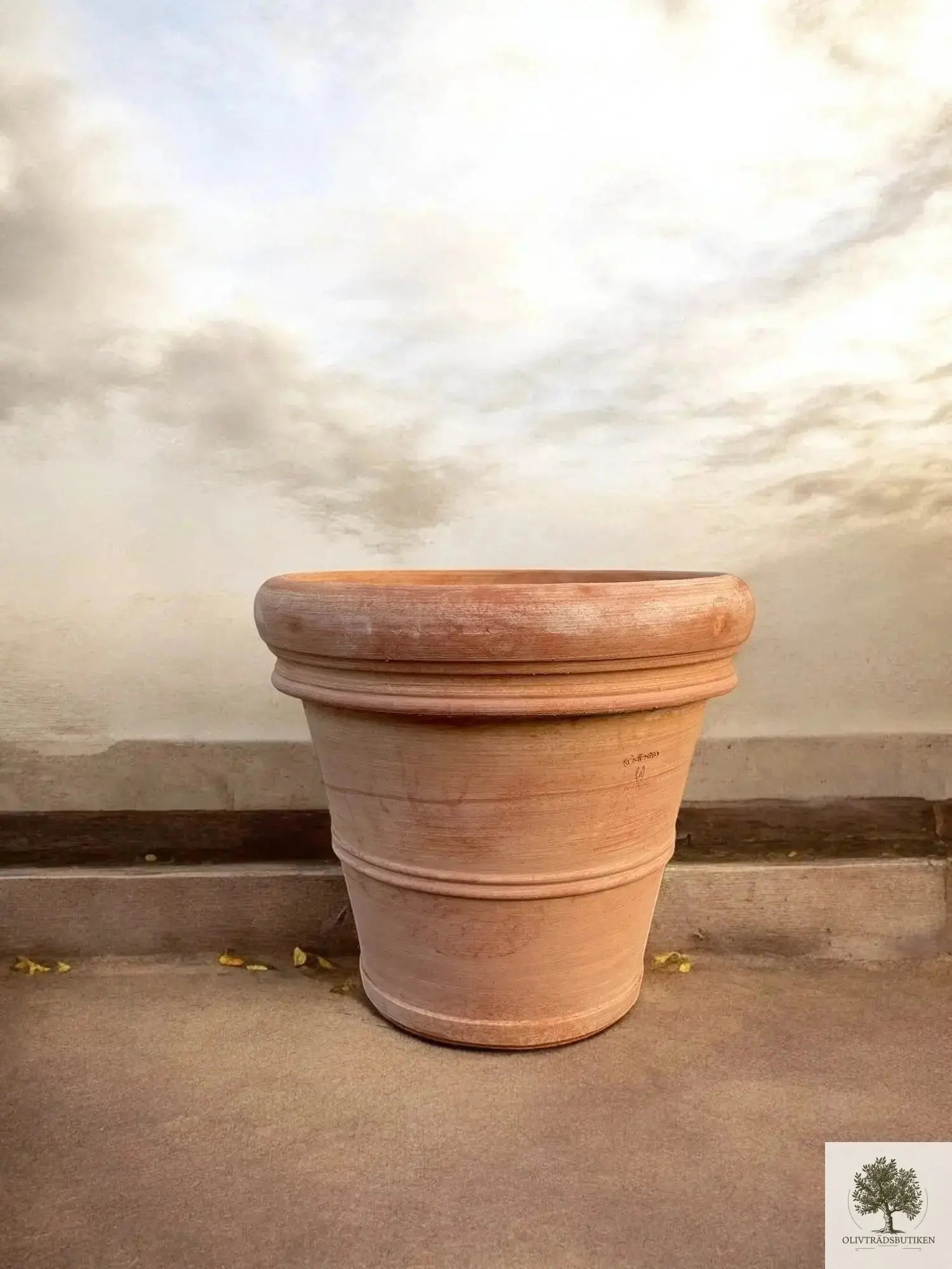 Kruka Terrakotta - Milano -  50 cm diameter - 41 cm höjd Olivträdsbutiken