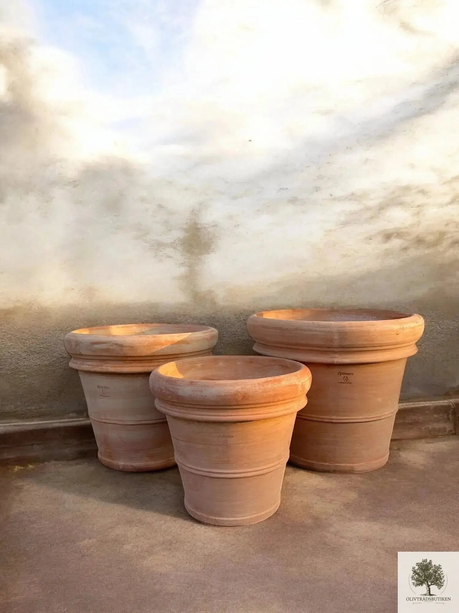 Kruka Terrakotta - Milano -  50 cm diameter - 41 cm höjd Olivträdsbutiken