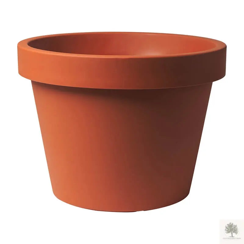 Stor pottelire - diameter 55 cm Olivtrebutikkenk