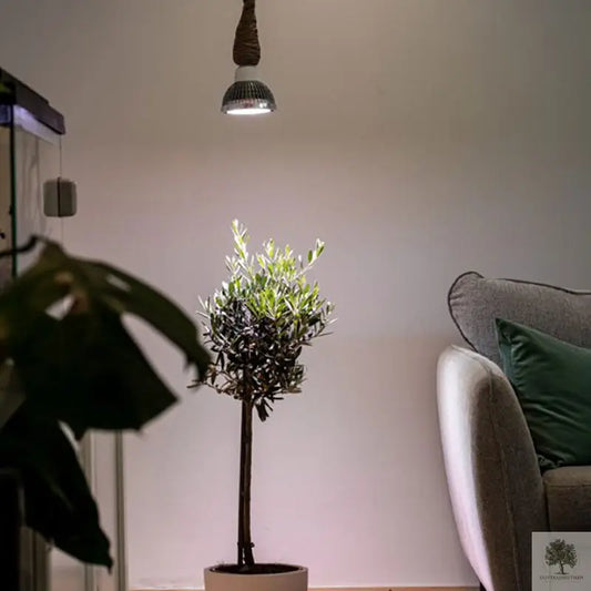 Växtlampa Inomhus 18W, 60 grader Olivträdsbutiken