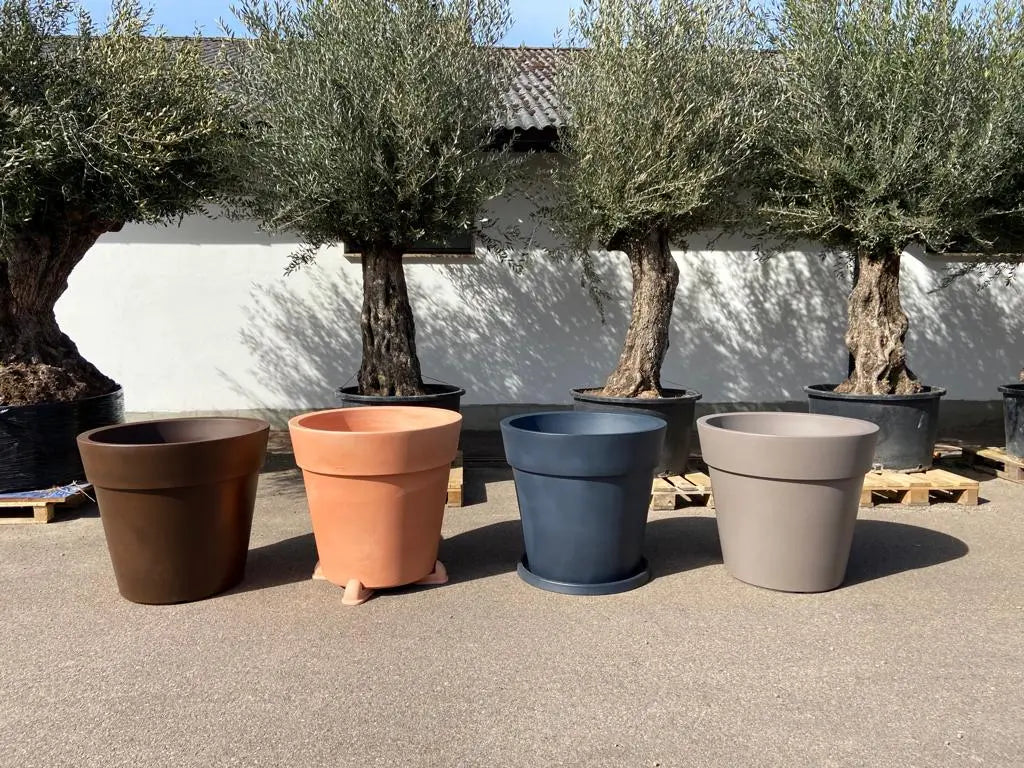Stor Kruka Lira Elite - ⌀ 80 cm Olivträdsbutiken