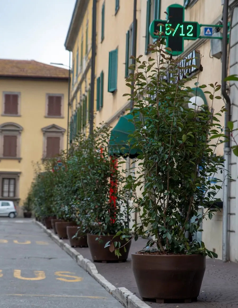 Stor Kruka Jumbo 110- ⌀ 110 cm Olivträdsbutiken