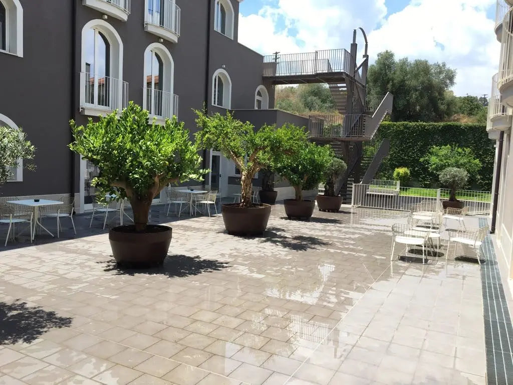 Stor Kruka Jumbo 110- ⌀ 110 cm Olivträdsbutiken