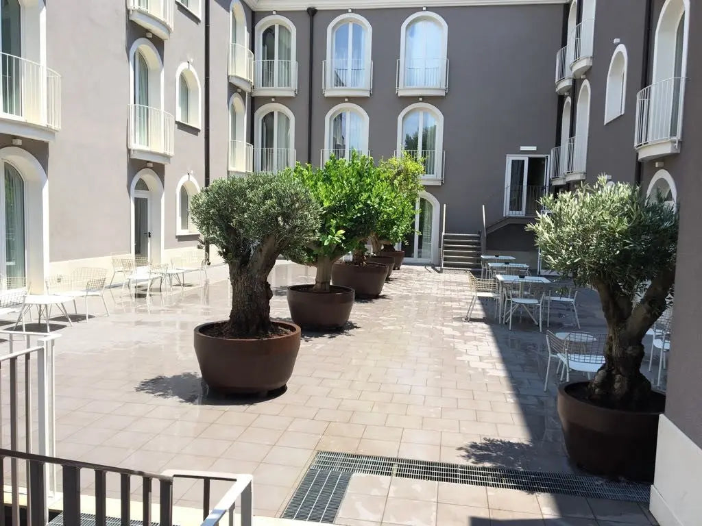 Stor Kruka Jumbo 110- ⌀ 110 cm Olivträdsbutiken