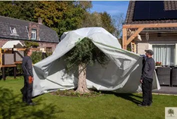 Vinterskydd-olivträd-Så-skyddar-du-ditt-träd-mot-vinterkyla Olivträdsbutiken