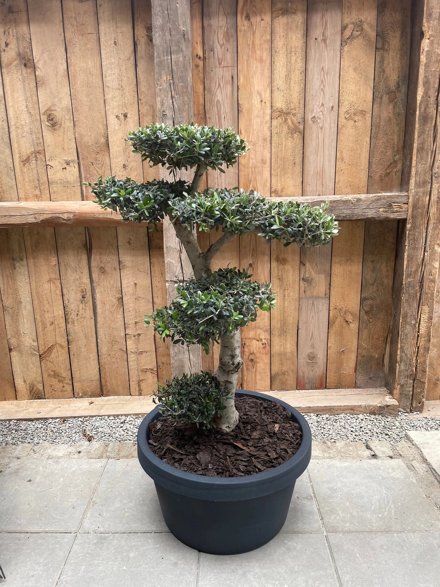 Krukke Norma - ⌀ 60 cm Olivträdsbutiken