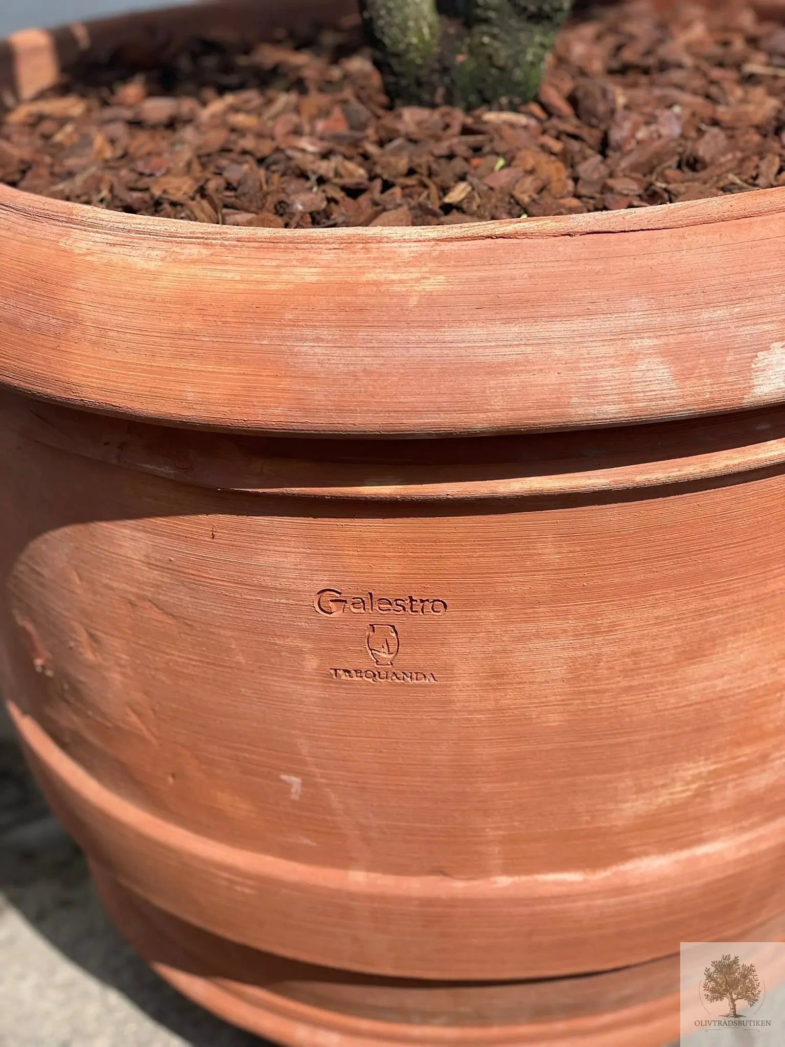 Terrakottakrukke - Barile Liscio - 60 cm diameter - 51 cm højde Olive Tree Shop