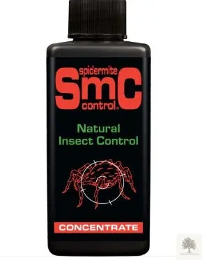 Skadedjursbekämpning spinnkvalster - Spidermite control