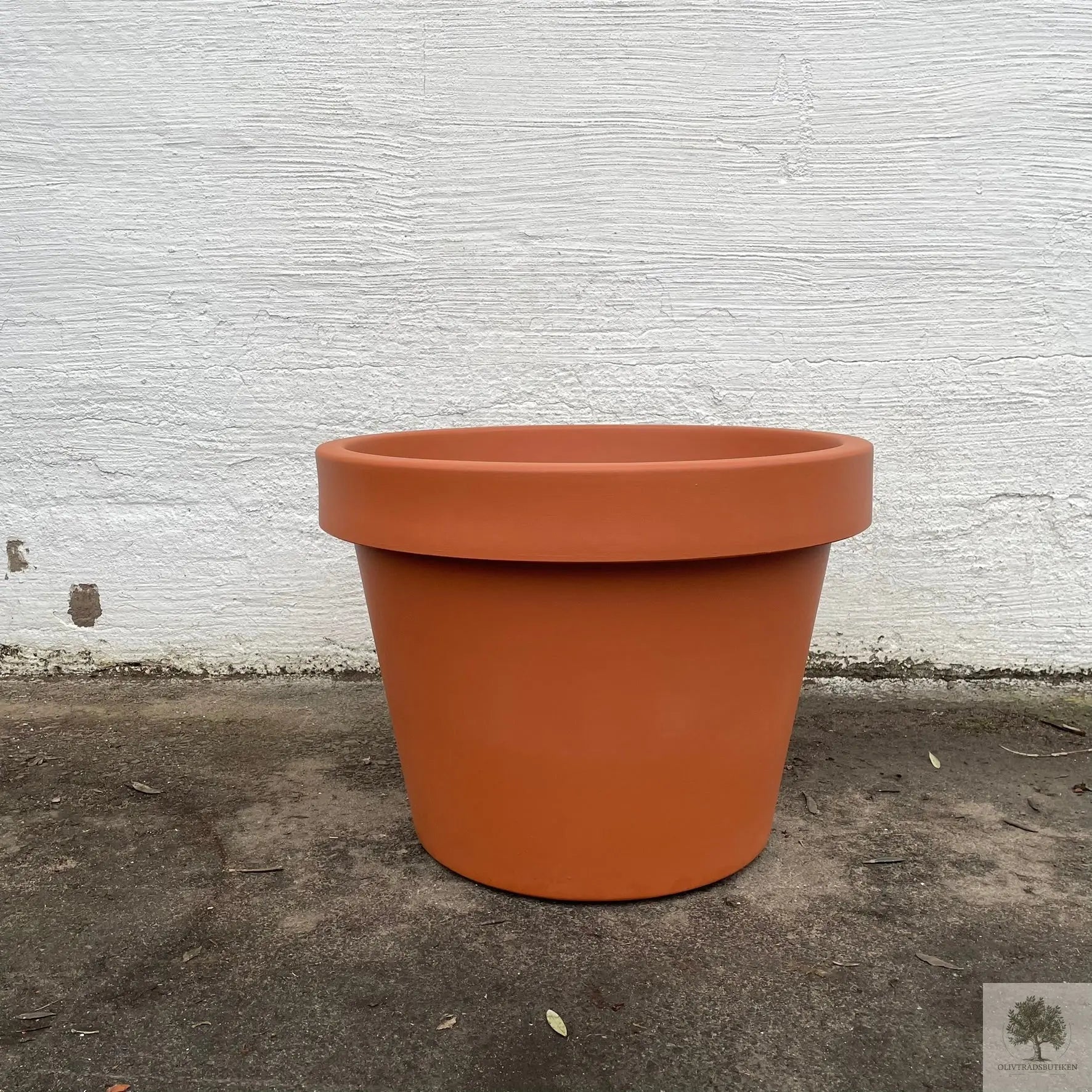 Stor Kruka Lira - diameter 75 cm Olivträdsbutiken
