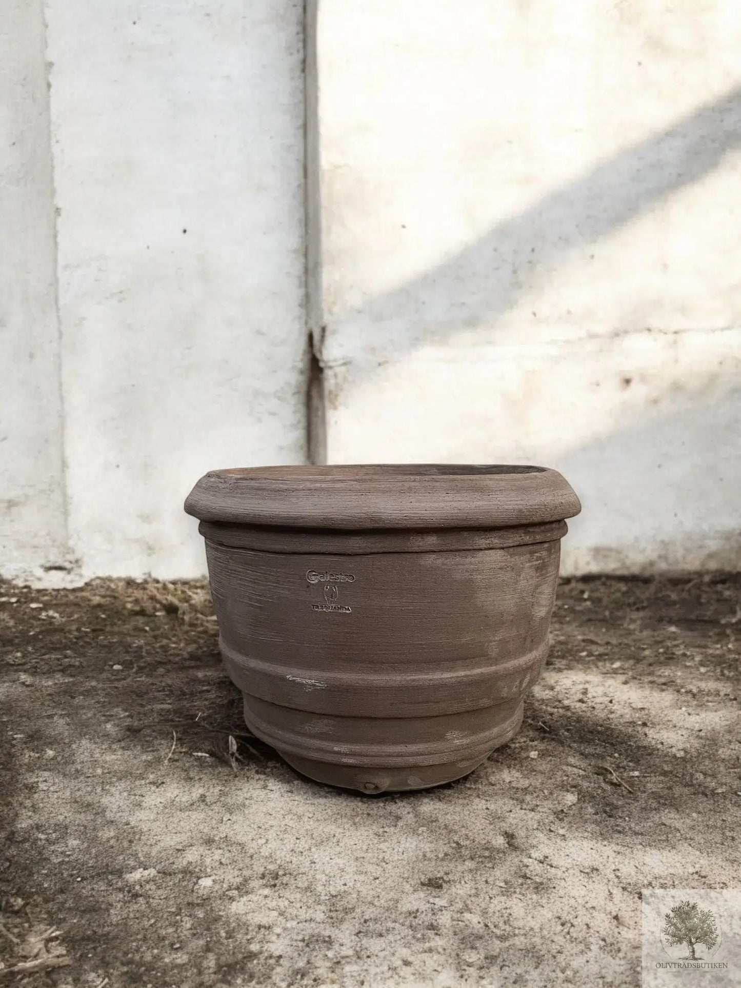 Kruka Terrakotta - Grå - 41 cm diameter - 30 cm höjd Olivträdsbutiken