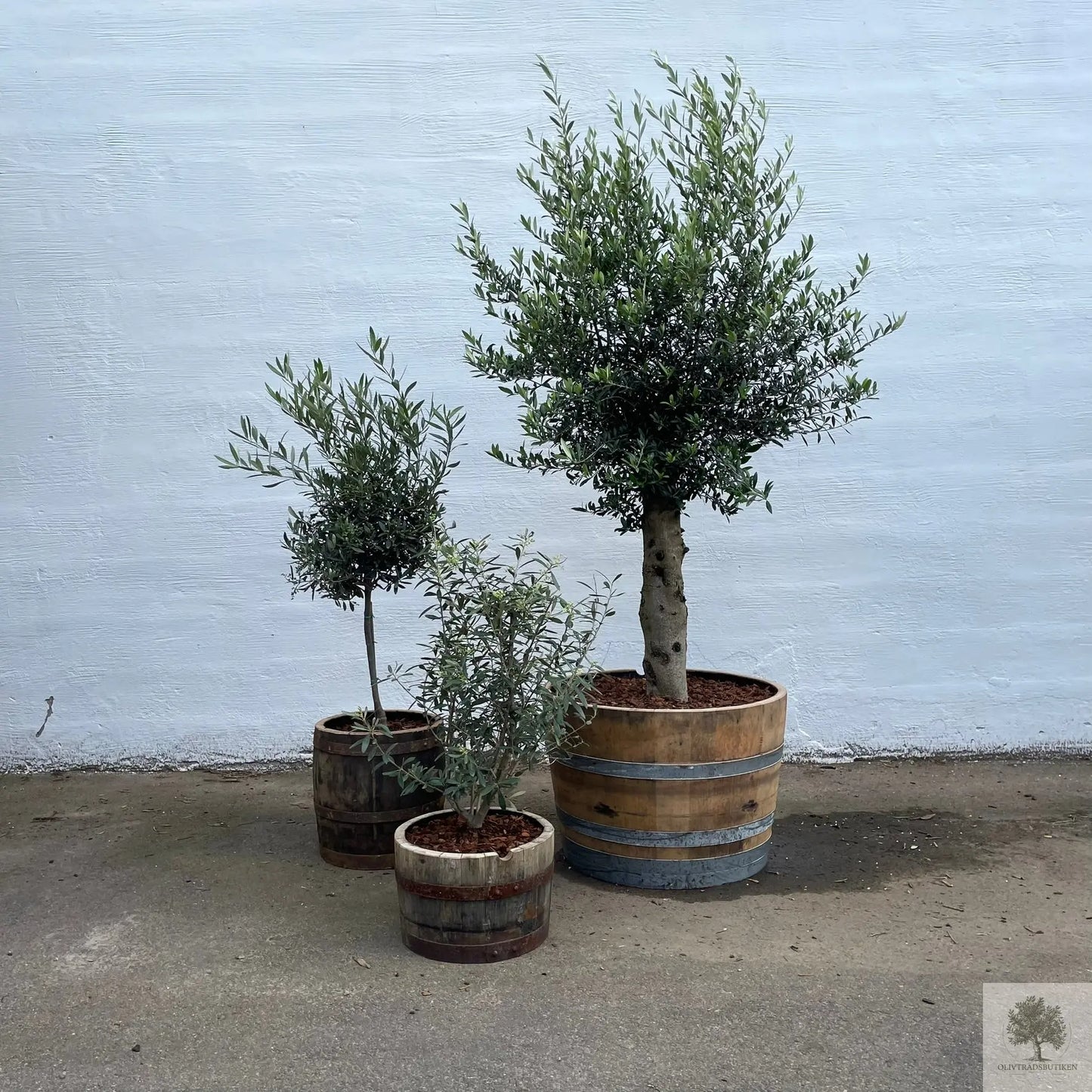 Sett med tre Halva eikevintønner - gratis frakt