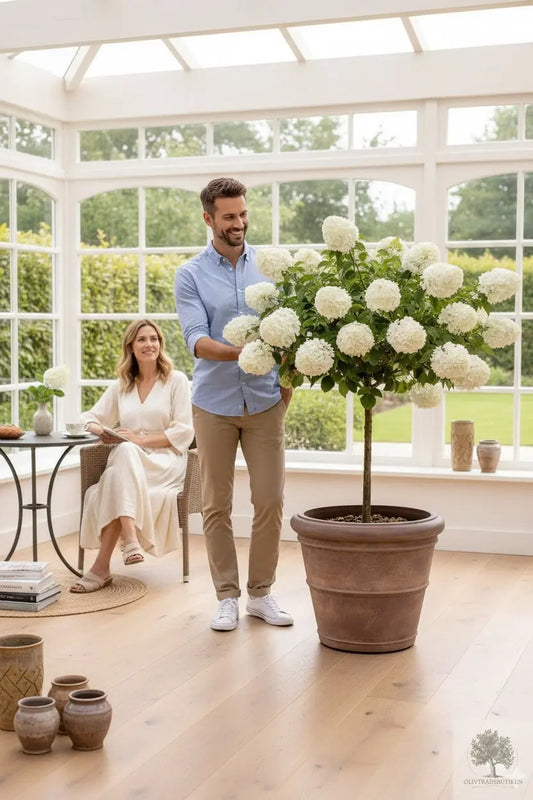 Vipp Hortensia - praktexemplar - 180 cm