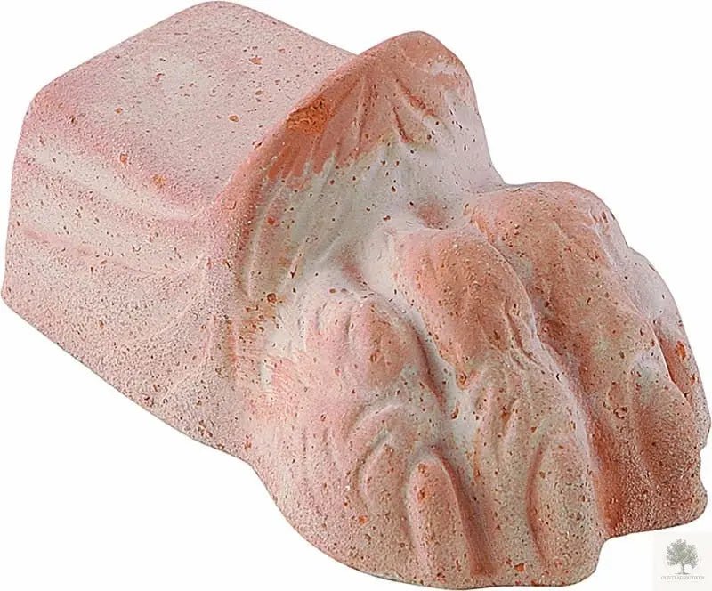 Fot tass i terrakotta - lejon Olivträdsbutiken