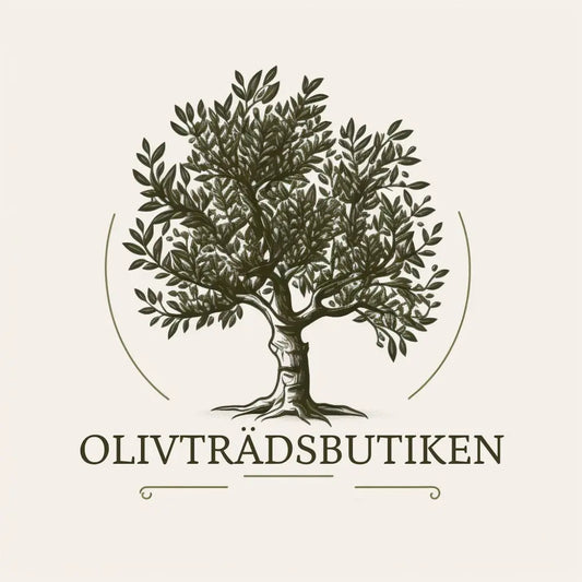 Presentkort olivträd Olivträdsbutiken