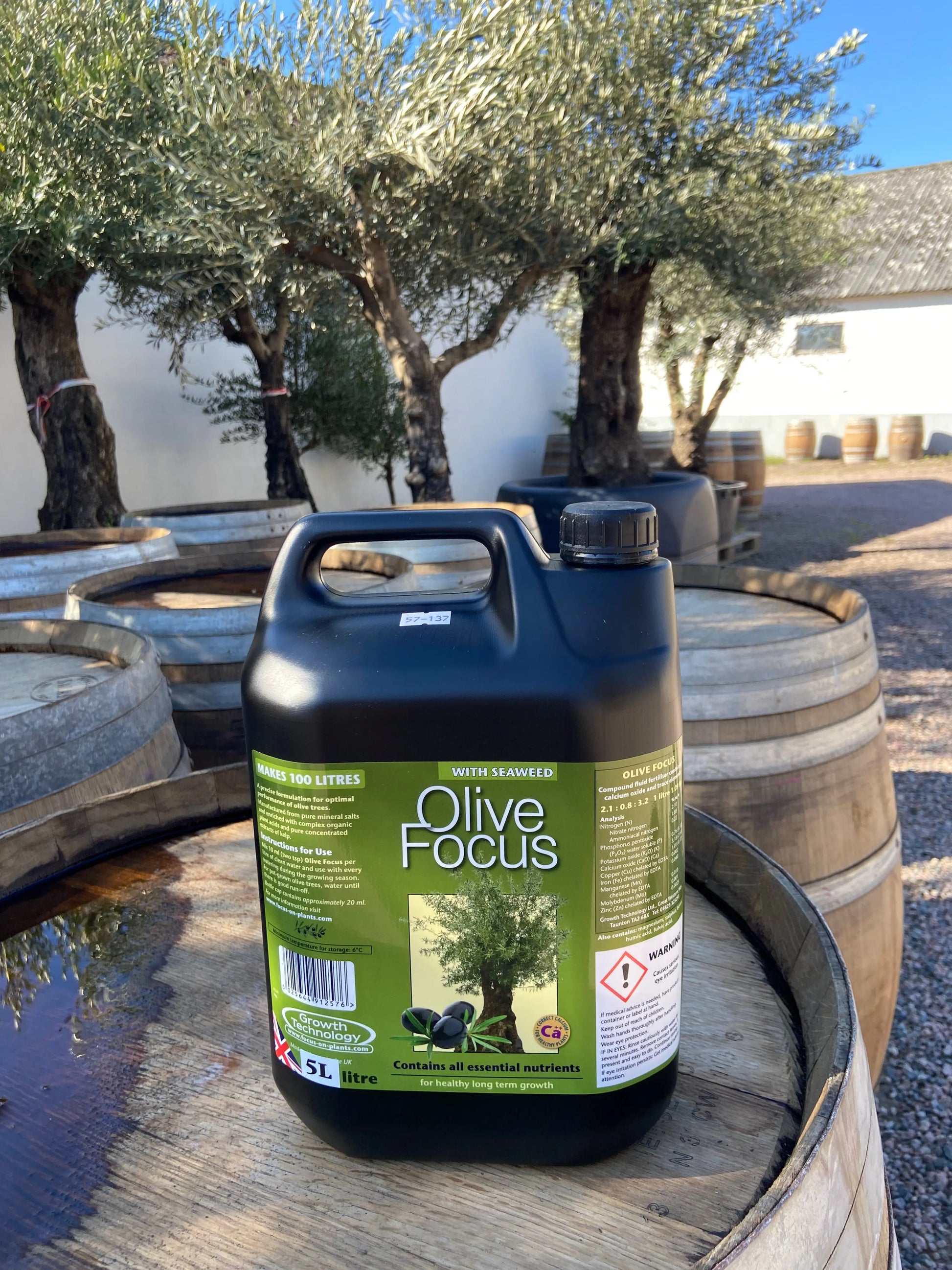 Oliventræets ernæring - Olive focus Olivträdsbutiken