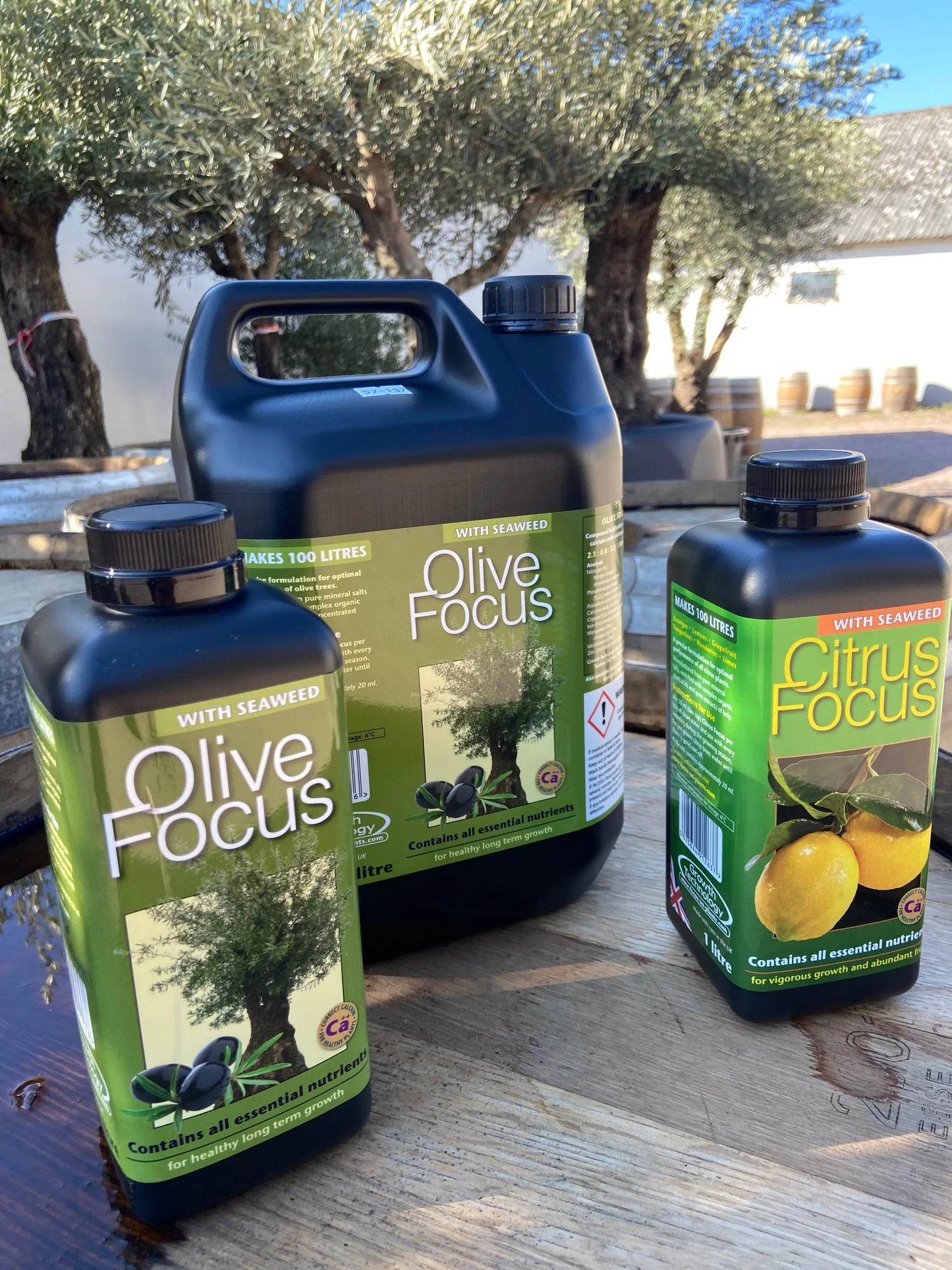 Oliventræets ernæring - Olive focus Olivträdsbutiken
